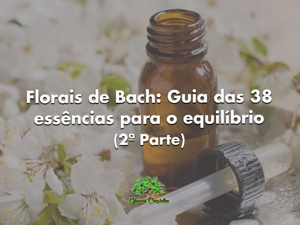 Florais De Bach Guia Das Ess Ncias Para O Equil Brio Parte